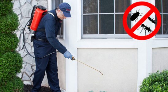 Kula Dezenfeksiyon böcek ilaçlama ve haşere kontrolü — ilaclama-tr.com